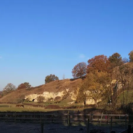 In Near Nature Reserve *