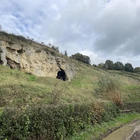 In Near Nature Reserve