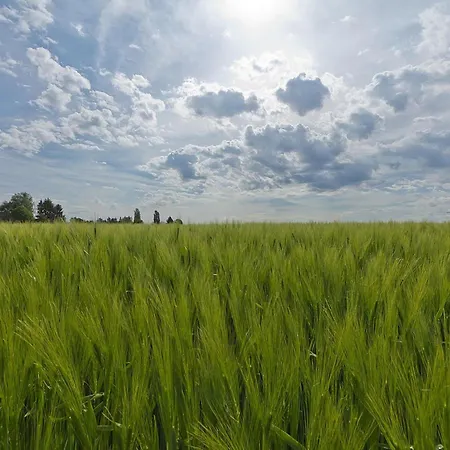 Prázdninový dům In Near Nature Reserve *