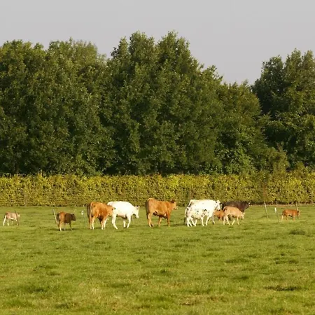 In Near Nature Reserve *