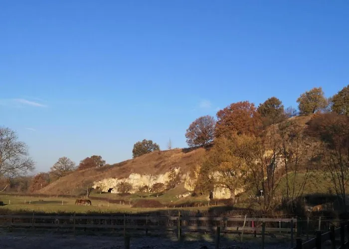 In Near Nature Reserve *