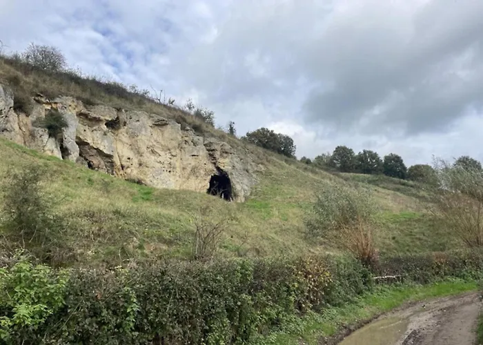 In Near Nature Reserve