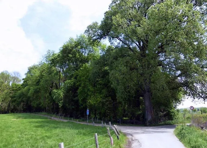 In Near Nature Reserve * Bemelen