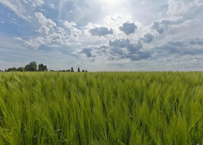 Ferienhaus In Near Nature Reserve *