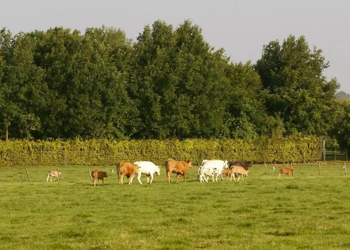 In Near Nature Reserve *