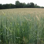 Σπίτι διακοπών In Near Nature Reserve Bemelen