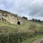 In Near Nature Reserve