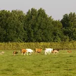 In Near Nature Reserve *