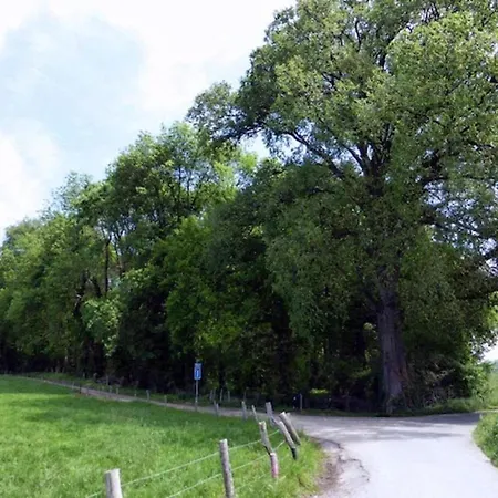 In Near Nature Reserve * Bemelen