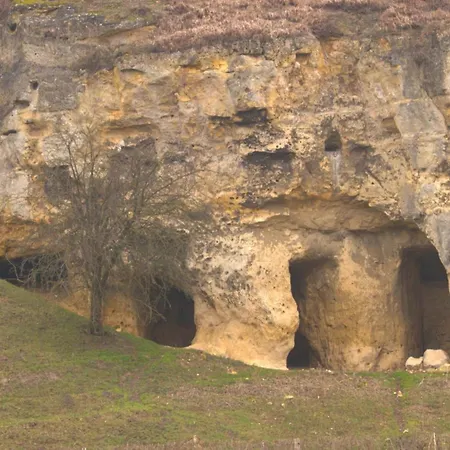 In Near Nature Reserve בית נופש Bemelen